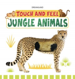 Touch and Feel - Jungle Animals