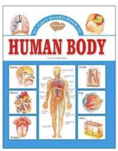 My First Board Book of Human Body