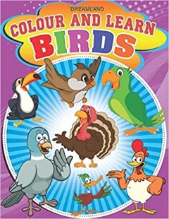 Colour and Learn- Birds