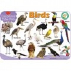 Educational Table Mats Birds