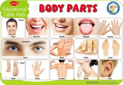 Educational Table Mats Body Parts