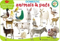 Educational Table Mats Domestic Animals & Pets