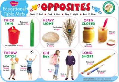 Educational Table Mats Opposites