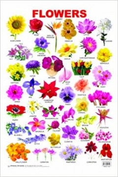 Flowers(Chart Book)