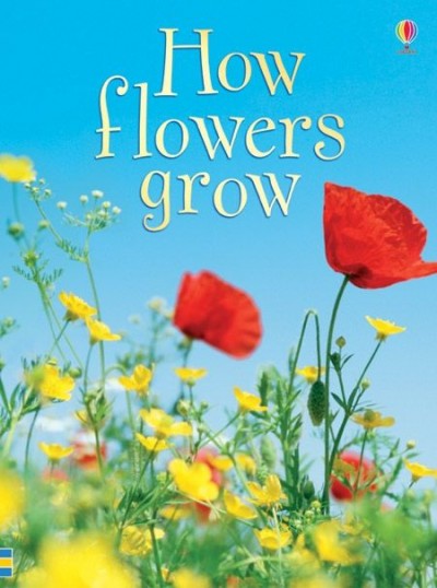 How Flowers Grow