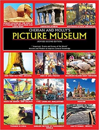 Picture Museum (Play & Learn with Words & Pictures)