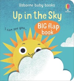 Up In The Sky (Baby's Big Flap Books)